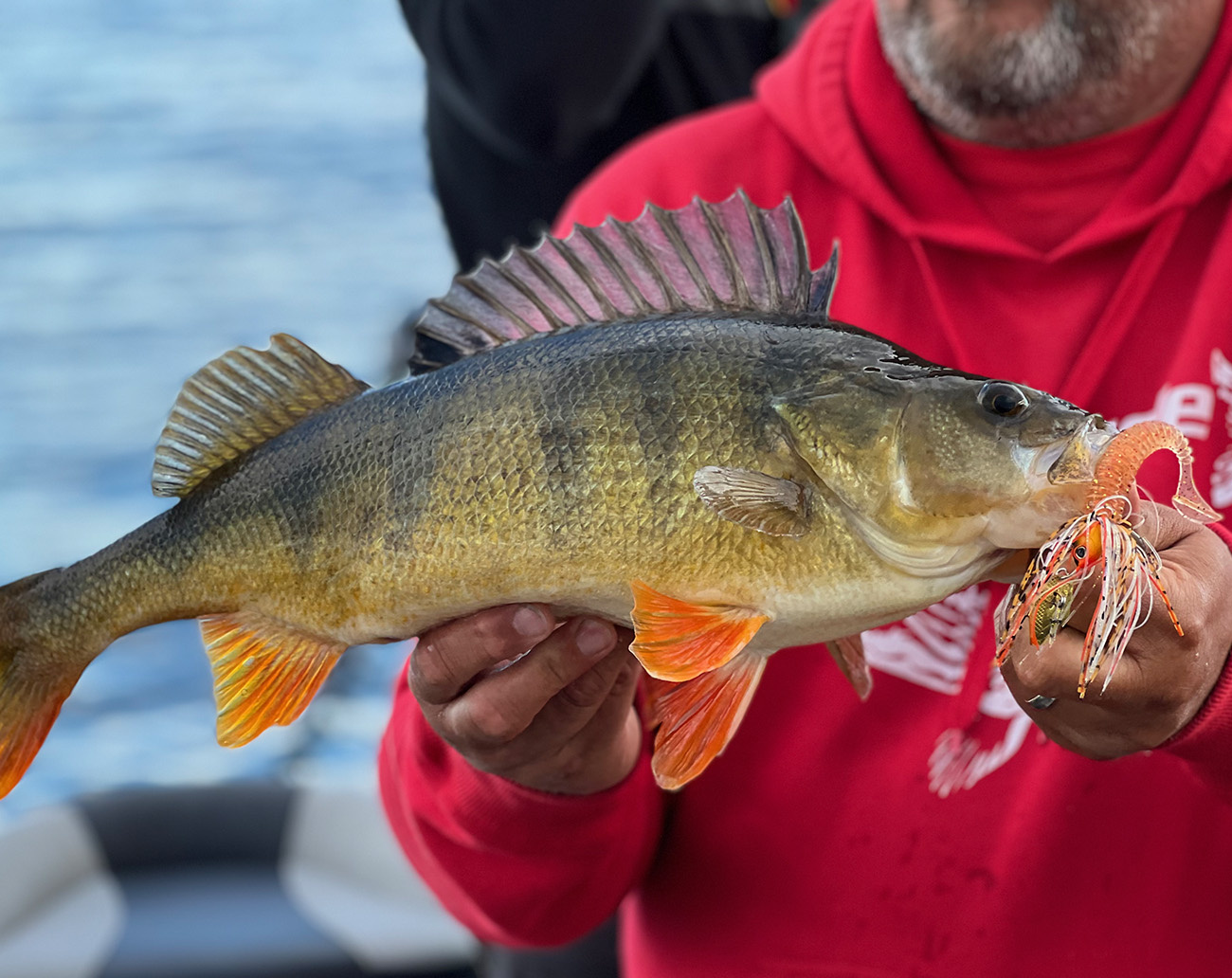 Berkley DEX Chatterbait TG 21g